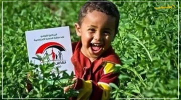 بشرى للمستفيدين.. بدء صرف معاش تكافل وكرامة لشهر سبتمبر بقيمة تتجاوز 4 مليارات جنيه 1